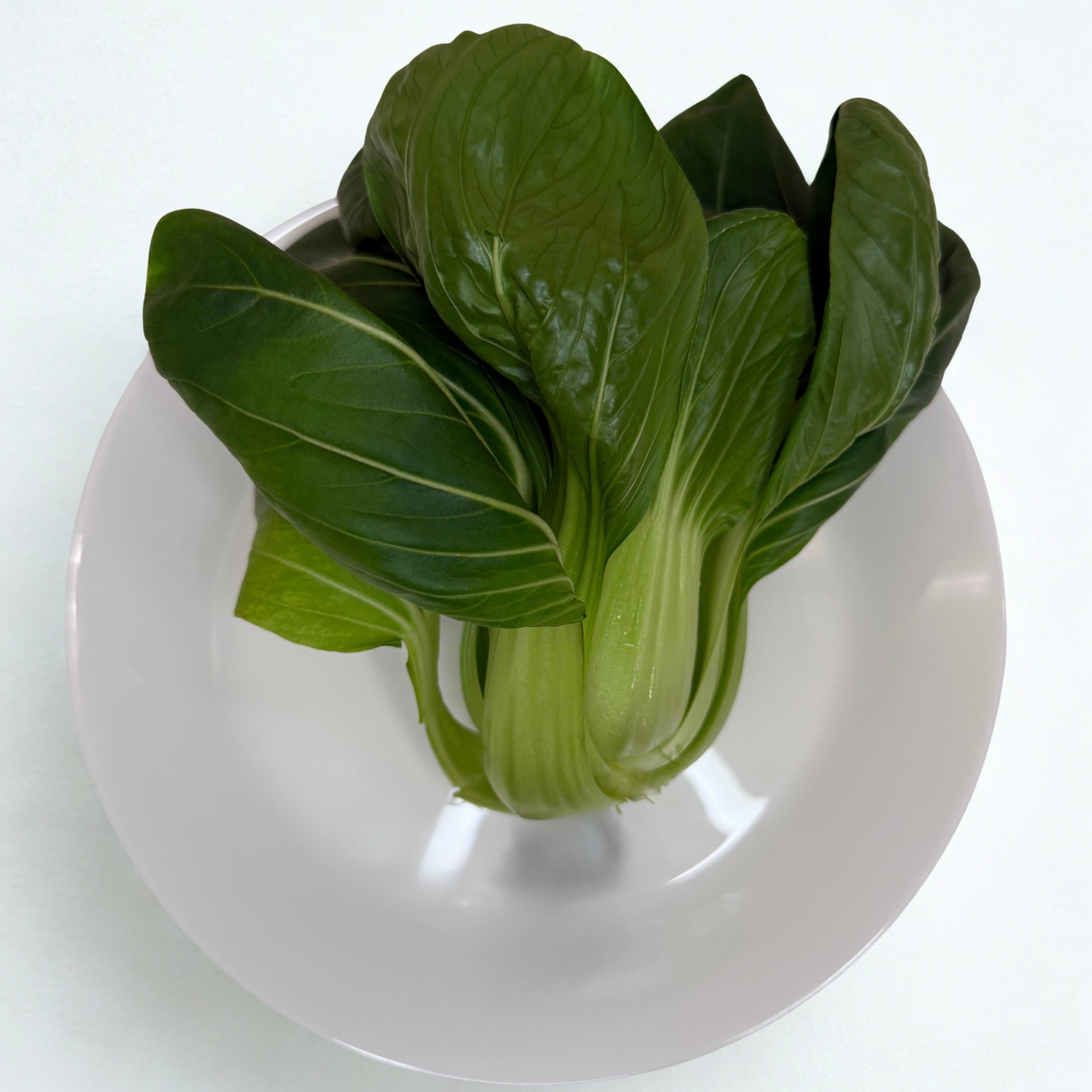 Bok Choy (Full Plant Head)