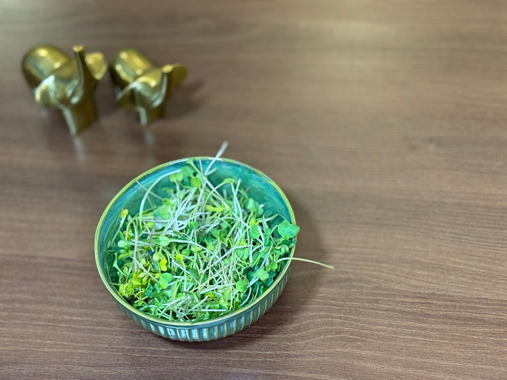 Microgreens Box (30g)