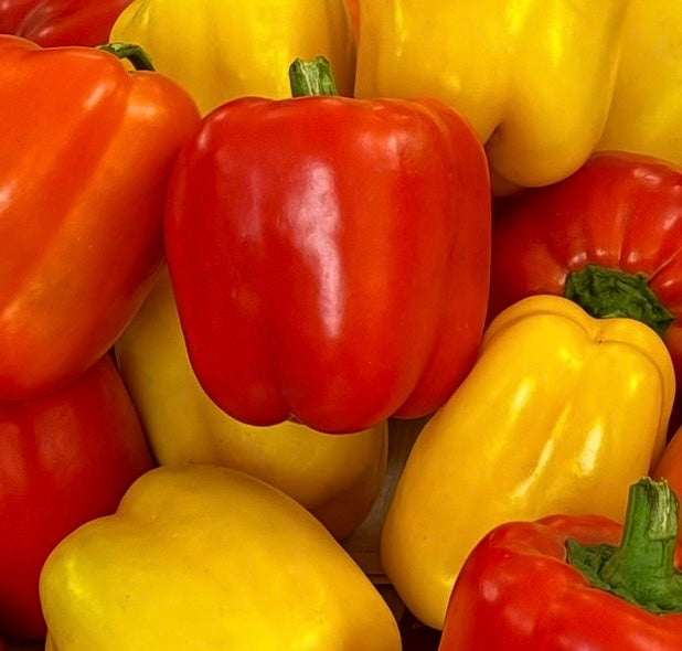 Red & Yellow Bell Peppers (2 Pieces)