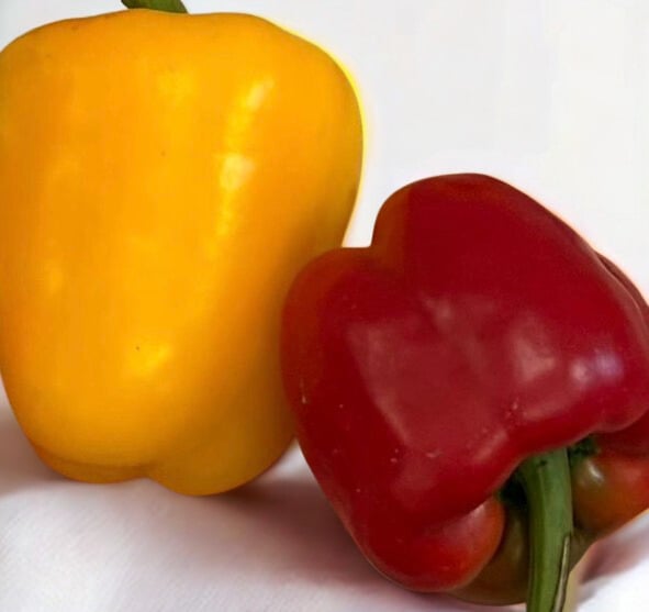 Red & Yellow Bell Peppers (2 Pieces)
