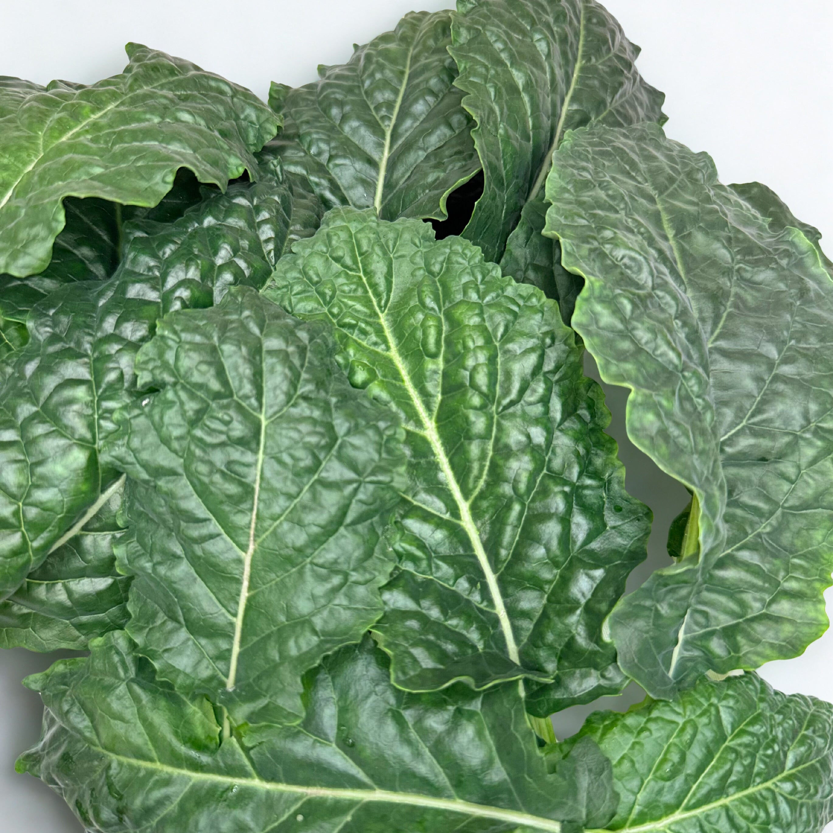 Flat Kale (100g)