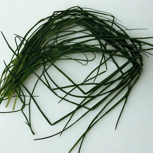 Fresh Herbs — 20g / 40g / 60g [Onion Chives, Oregano, Rosemary, Thyme & Parsley]