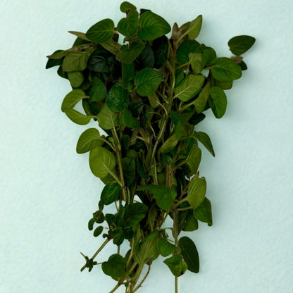 Fresh Herbs — 20g / 40g / 60g [Onion Chives, Oregano, Rosemary, Thyme & Parsley]