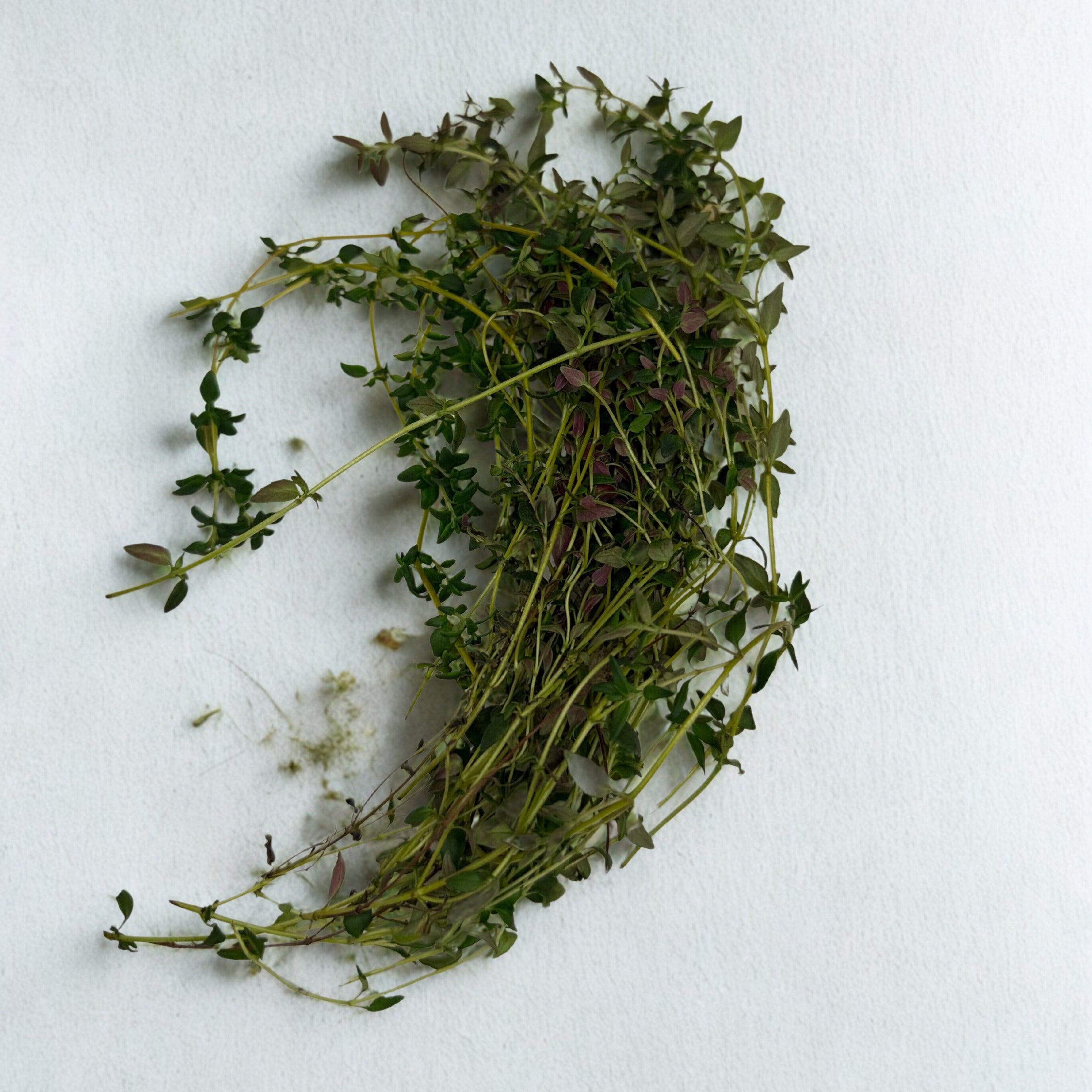 Thyme (15g)