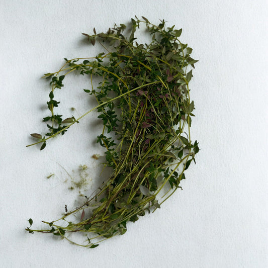The Chef's Herb Box — Any 2 or 3 Herbs (20g Each)