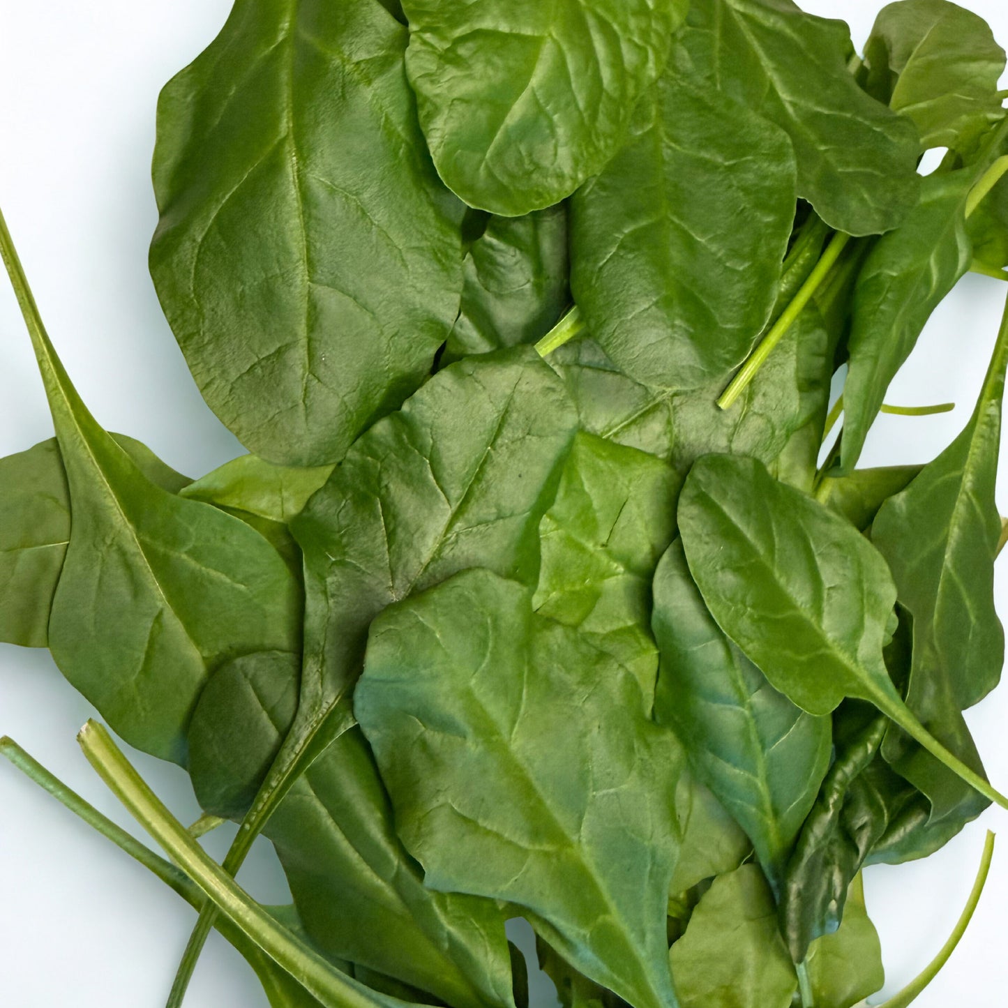 Baby Spinach (100g)