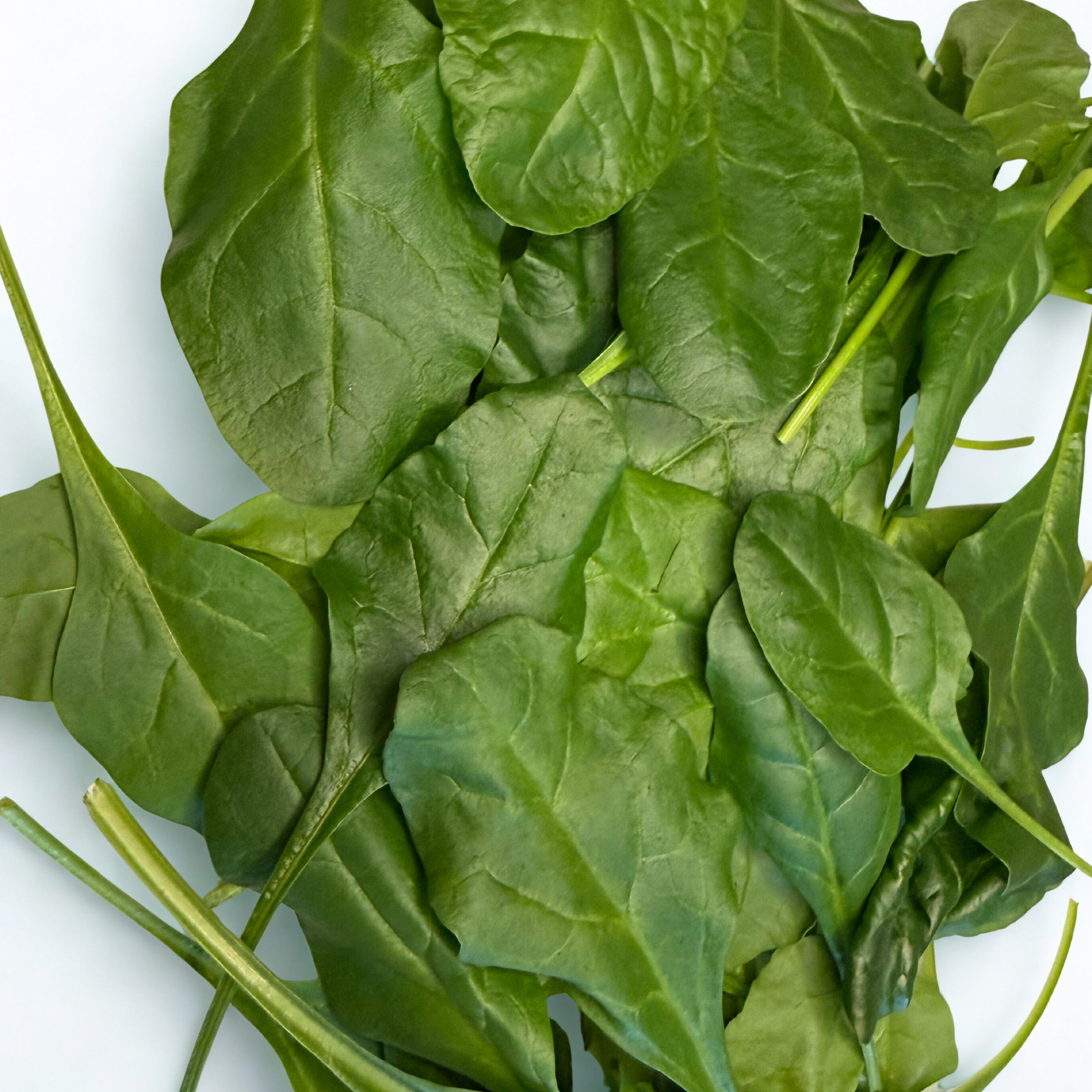 Baby Spinach (100g)