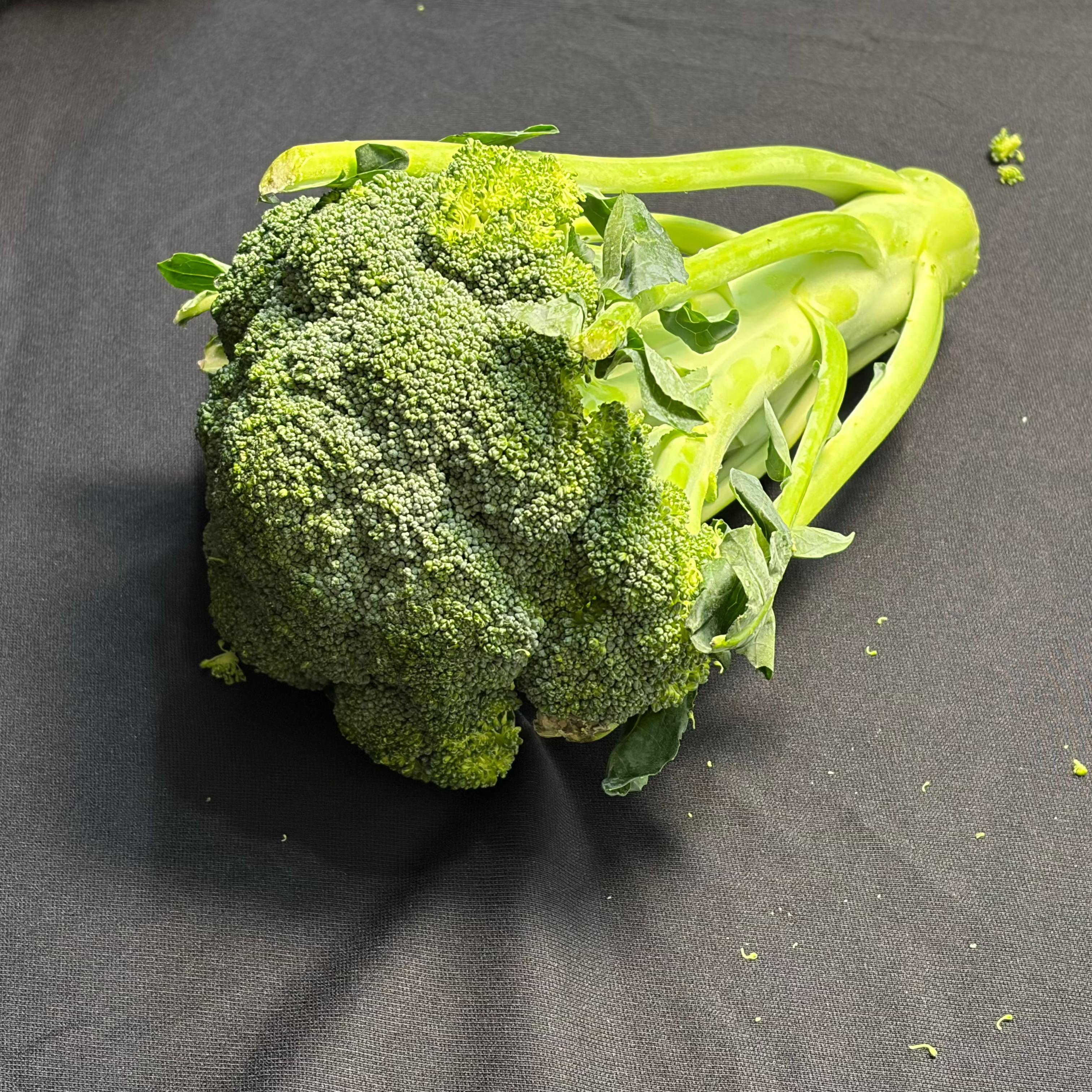 Broccoli 1 Head (Approx - 500g)