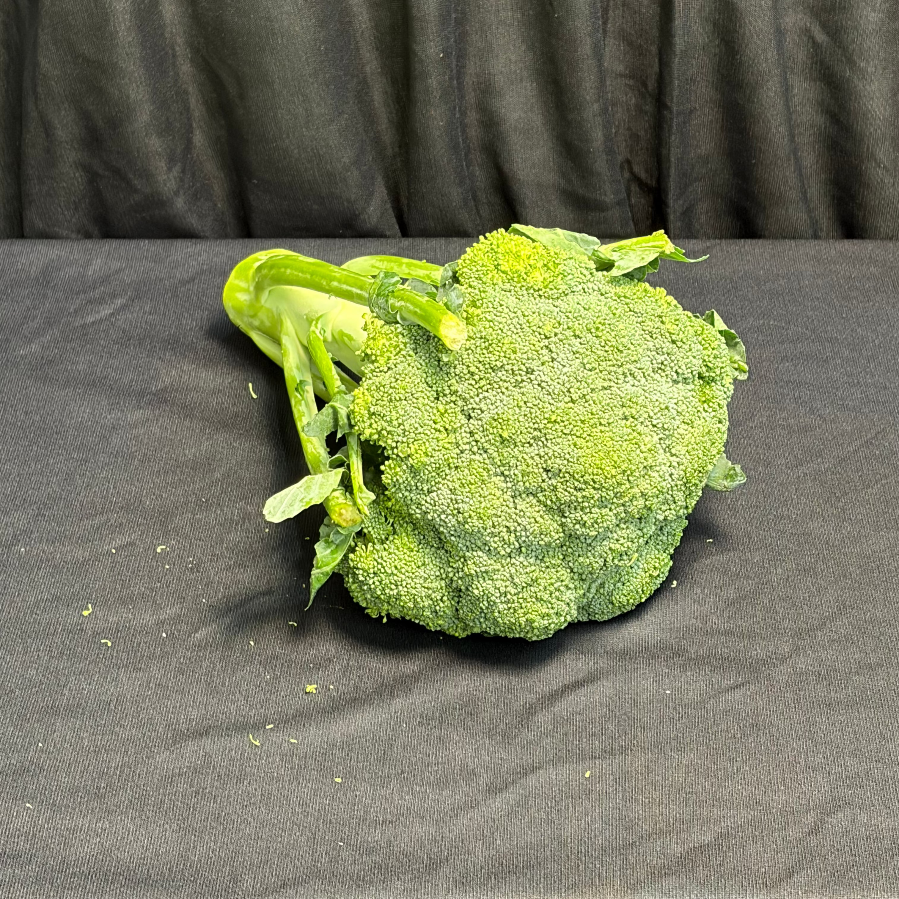 Broccoli 1 Head (Approx - 500g)