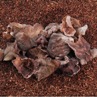 Black Fungus Mushroom - 100g