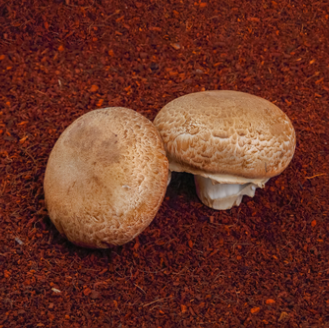 Portobello Mushroom - 100g